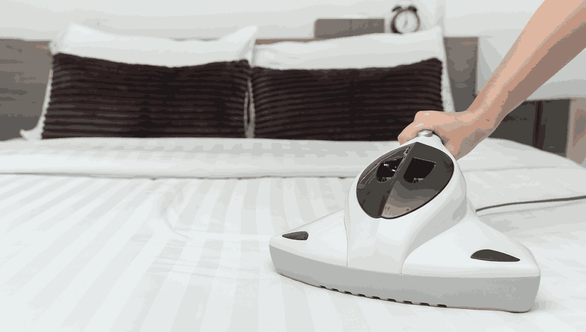 Professional Mattress Cleaning Pines Forest