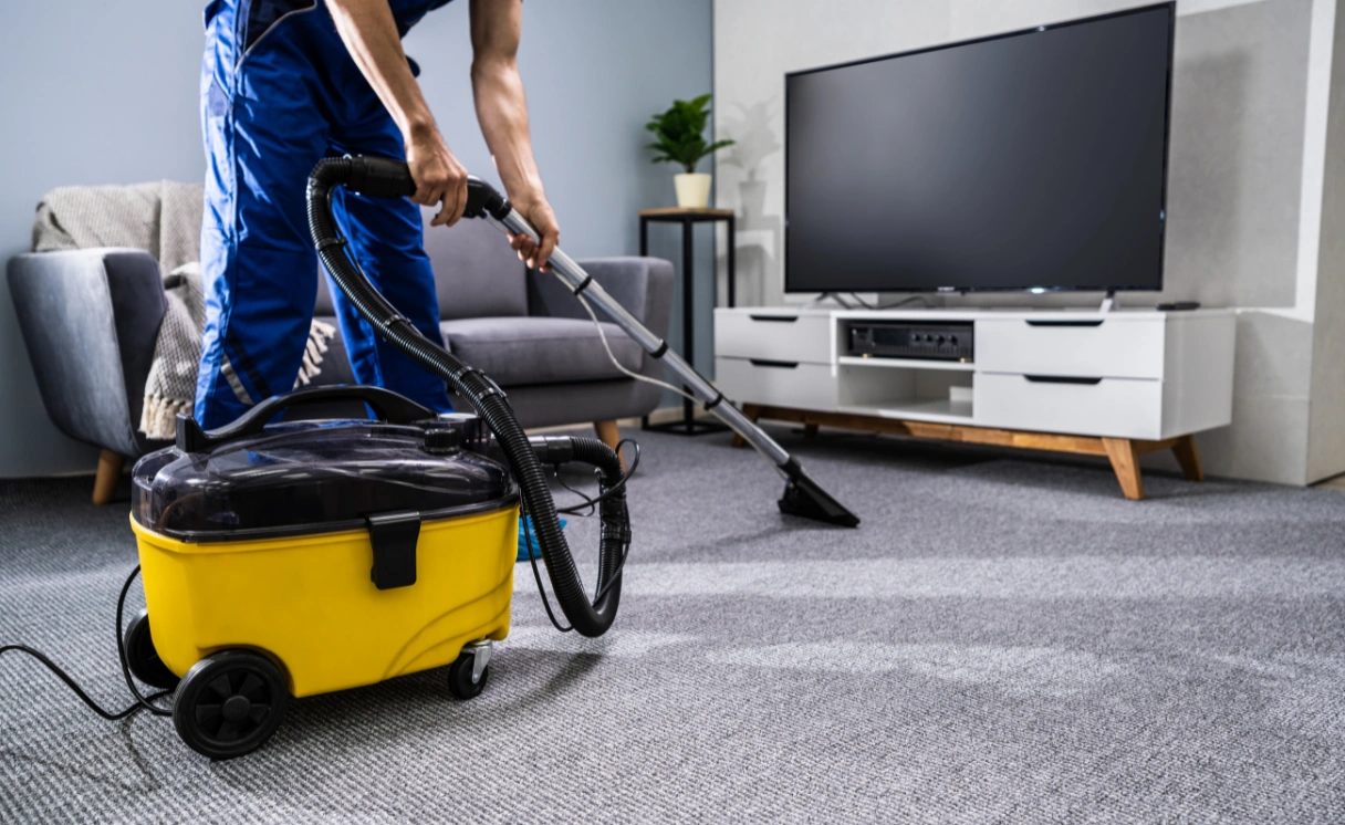 Extract Mattress Cleaning Pines Forest Contact Office